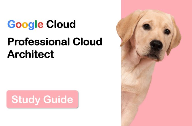 Google cloud professional cloud architect Certificate Exam study guide-2
