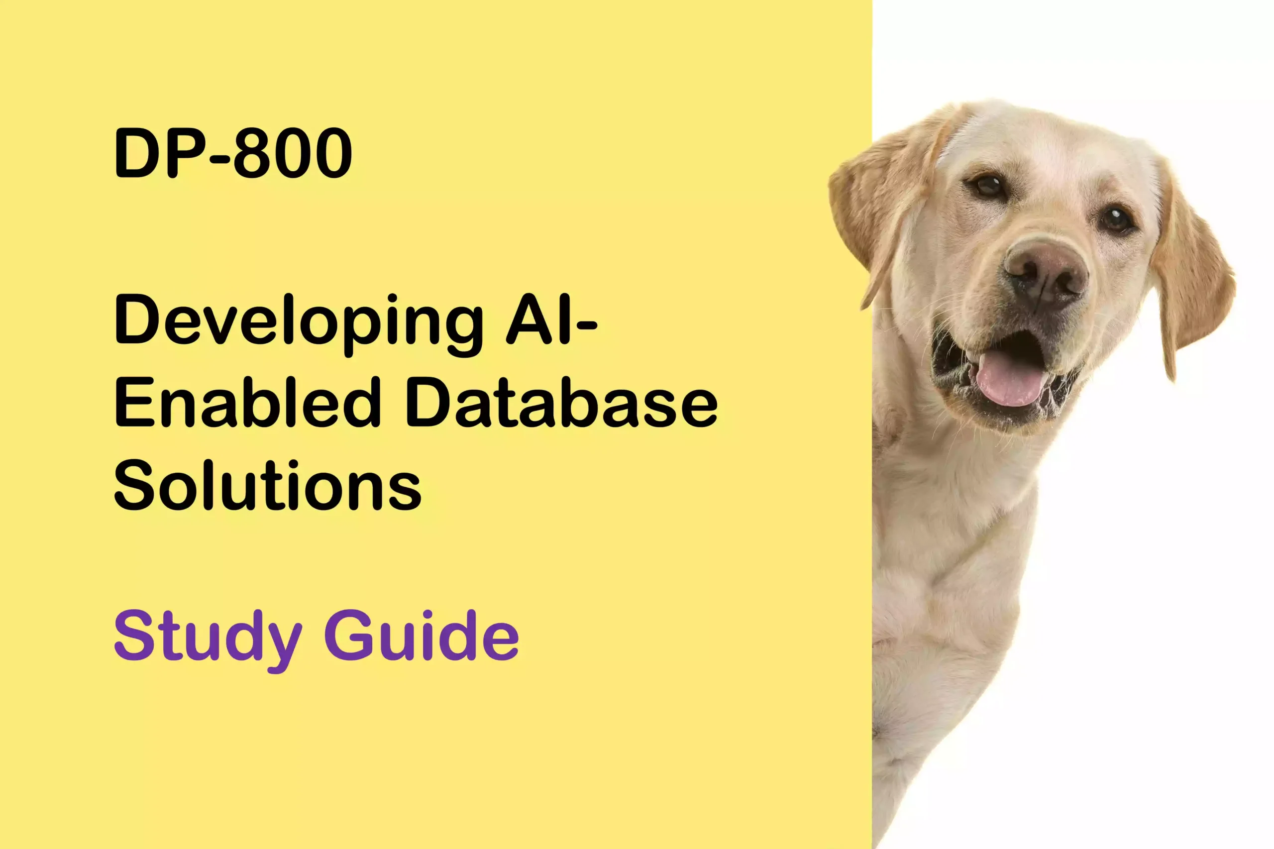 DP-800 Study Guide | Developing AI-Enabled Database Solutions ...